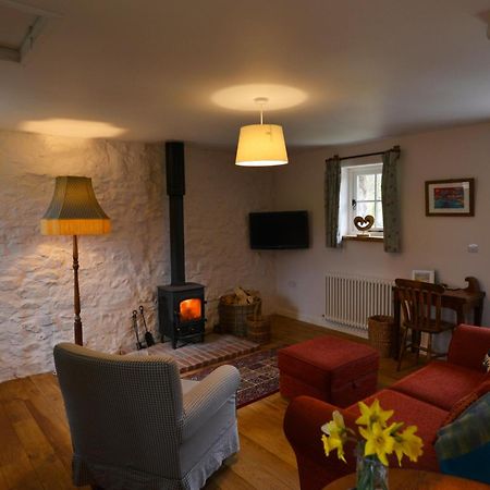 Dandelion Cottage, Amroth Exteriör bild