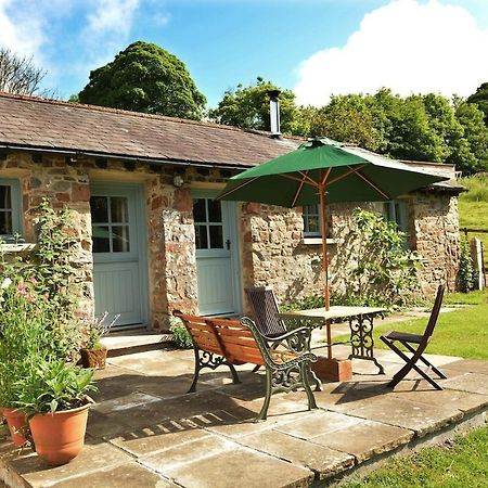 Dandelion Cottage, Amroth Exteriör bild