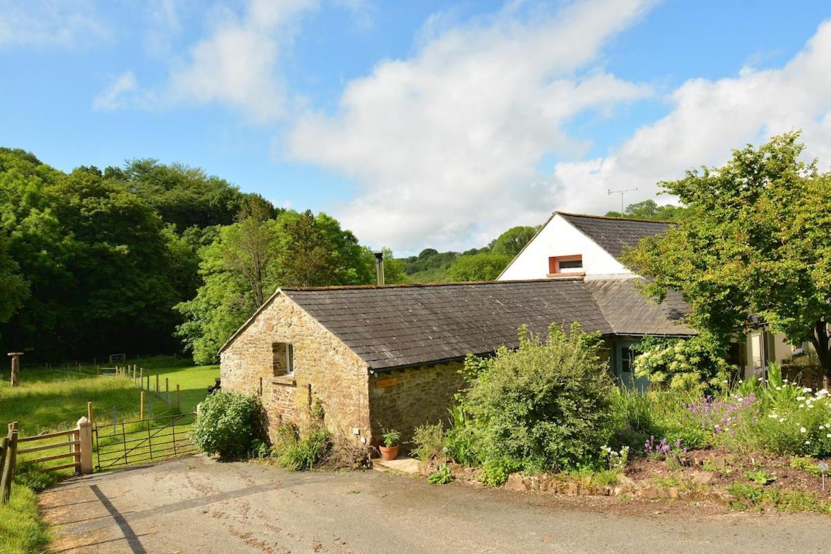Dandelion Cottage, Amroth Exteriör bild